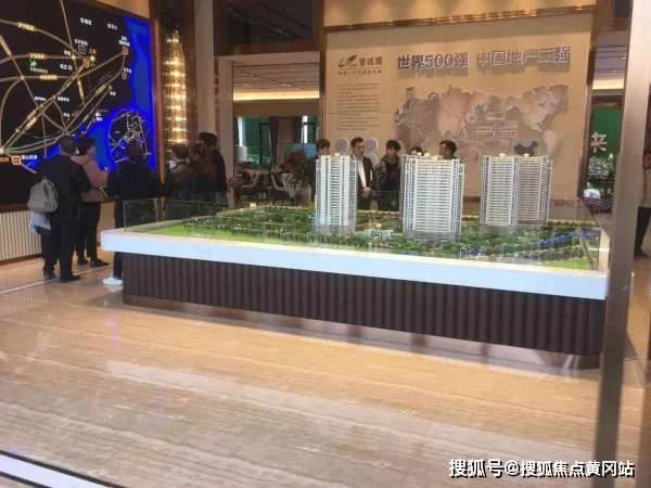 杭绍台袍江段最新动态全面解读