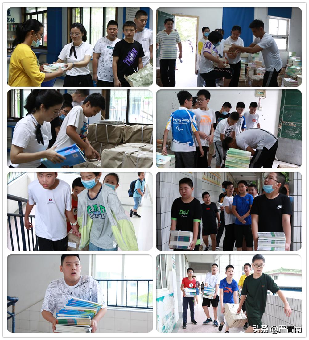 合肥市第三十八中学北校区最新动态全面解读