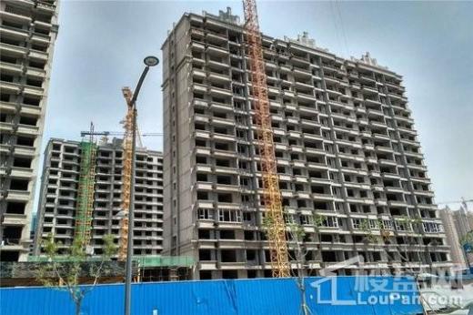 建龙鑫红苑最新消息全面解读与分析