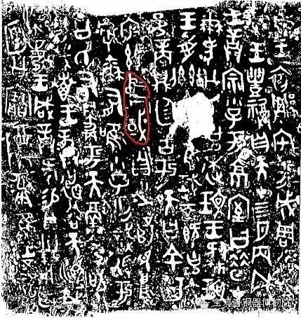 宝鸡市公租房政策更新与实施进展最新消息