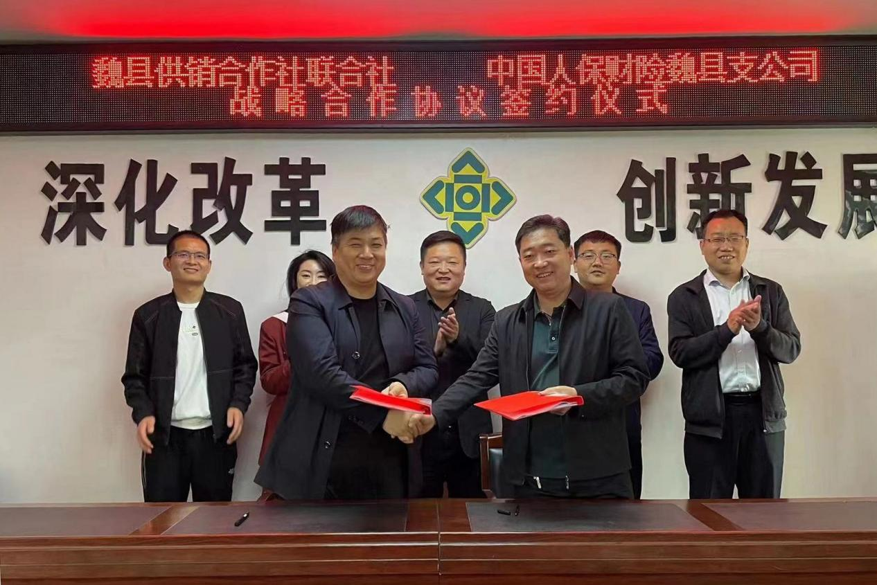 简报 第203页