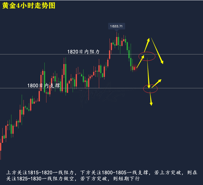 简报 第139页