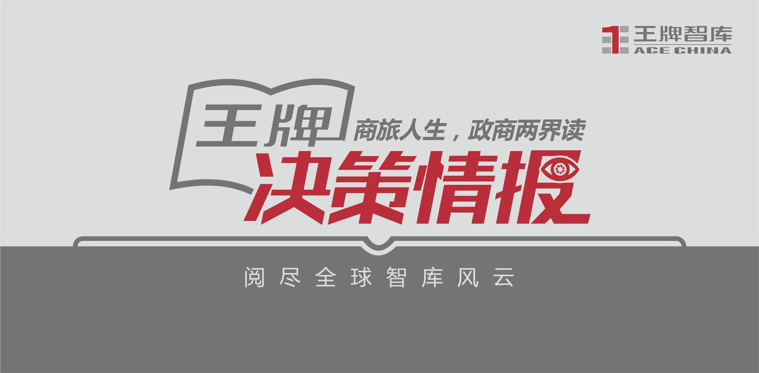 简报 第133页