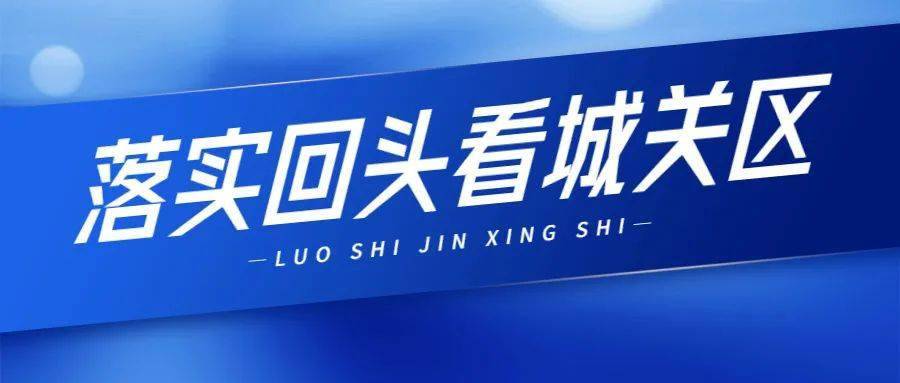 新奥管彩免费资料，经典解答解释落实_HD96.28.15