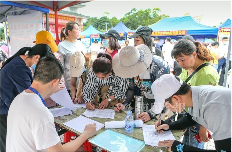 道氏技术股票最新动态解析