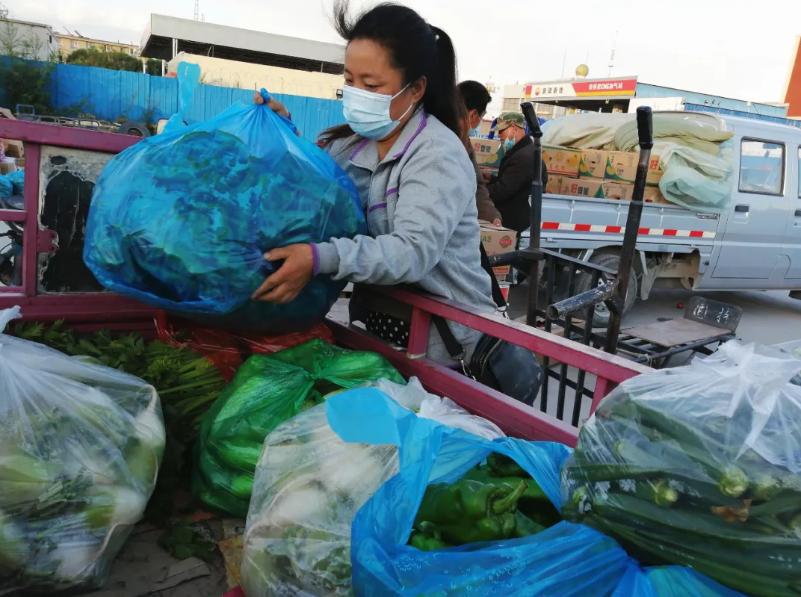 土豆批发价格最新趋势探索