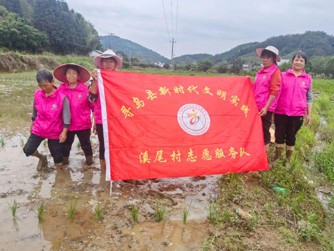 鲁山县新闻，乡村振兴政策助力农业发展