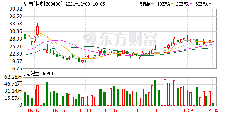 华自科技股票最新消息，科技股表现亮眼